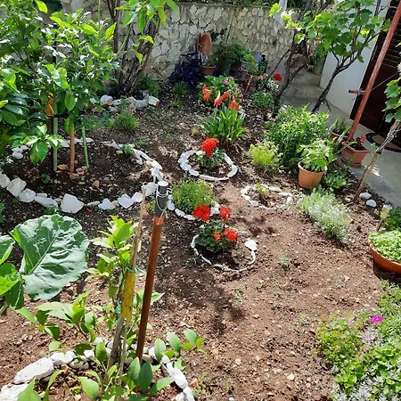 By The Sea Businci, Ciovo - 1081 * Trogir